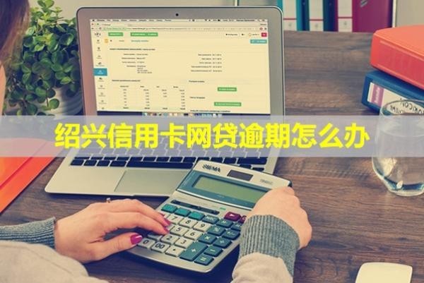 紹興信用卡網(wǎng)貸逾期怎么辦