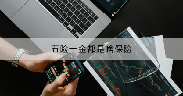 五險一金都是啥保險