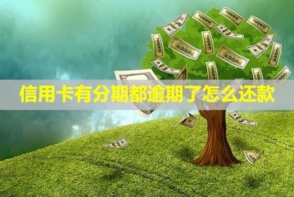信用卡有分期都逾期了怎么還款？可以提前一次性還清嗎？