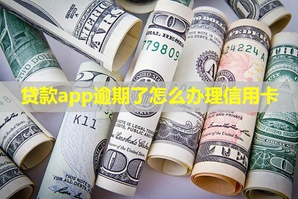 貸款app逾期了怎么辦理信用卡？怎么申請停息掛賬？