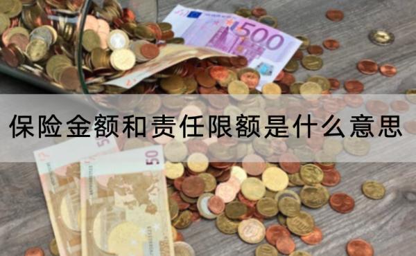保險(xiǎn)金額和責(zé)任限額是什么意思？保險(xiǎn)金額越高越好嗎？