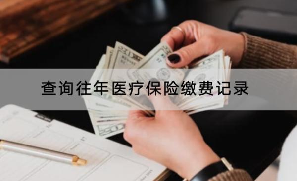 查詢往年醫(yī)療保險繳費記錄
