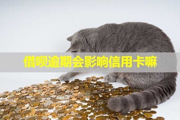 借唄逾期會(huì)影響信用卡嘛？可以申請(qǐng)延期還款嗎？