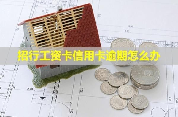 招行工資卡信用卡逾期怎么辦？利息怎么算？
