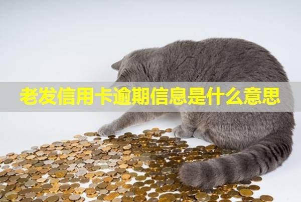 老發(fā)信用卡逾期信息是什么意思？催收會上門嗎？