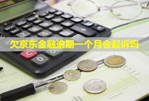 欠京東金融逾期一個月會起訴嗎？要全部還清嗎？