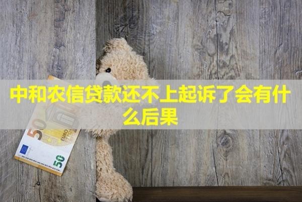 中和農(nóng)信貸款還不上起訴了會(huì)有什么后果？怎么辦？