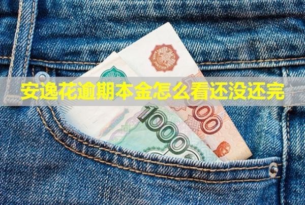安逸花逾期本金怎么看還沒(méi)還完？怎么樣協(xié)商？