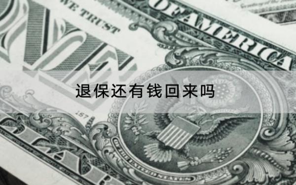 退保還有錢回來嗎？退保的流程是怎樣的？