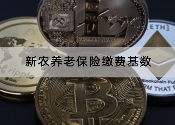 新農(nóng)養(yǎng)老保險(xiǎn)繳費(fèi)基數(shù)是多少？怎么交？
