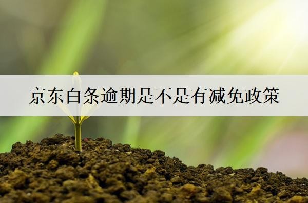 京東白條逾期是不是有減免政策？