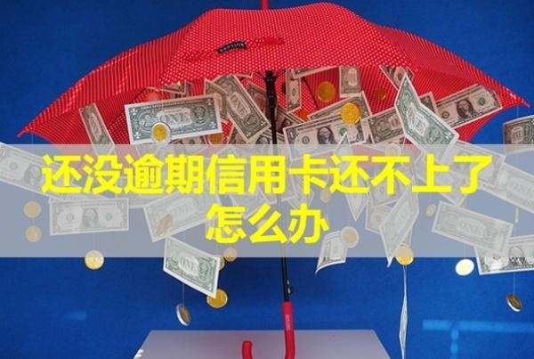還沒(méi)逾期信用卡還不上了怎么辦