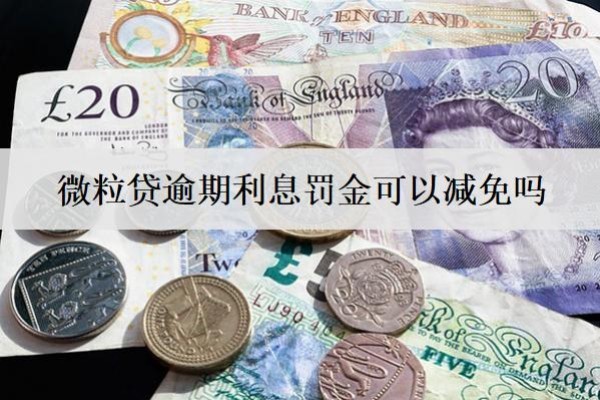 微粒貸逾期利息罰金可以減免嗎？減免概率怎么提高？