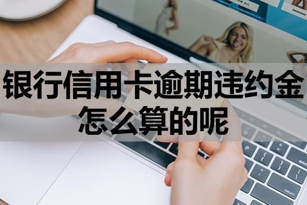 銀行信用卡逾期違約金怎么算的呢？能申請(qǐng)減免嗎？