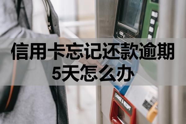 信用卡忘記還款逾期5天怎么辦？注意這幾點(diǎn)！