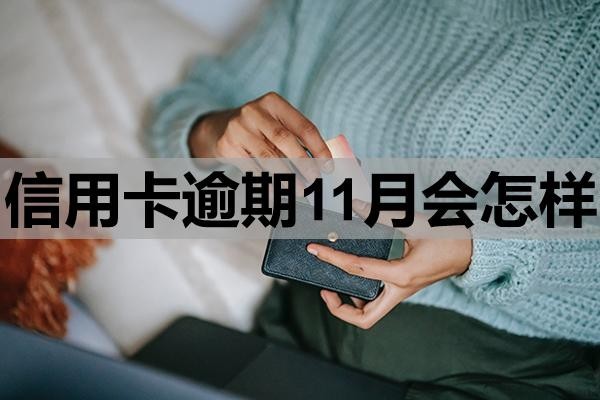 信用卡逾期11月會怎樣？這四個方面需要注意
