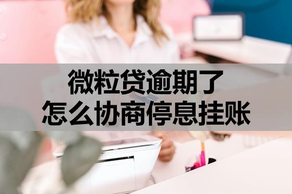 微粒貸逾期了怎么協(xié)商停息掛賬？
