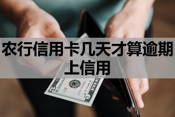 農(nóng)行信用卡幾天才算逾期上信用