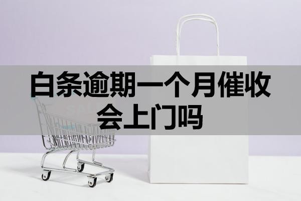 白條逾期一個月催收會上門嗎