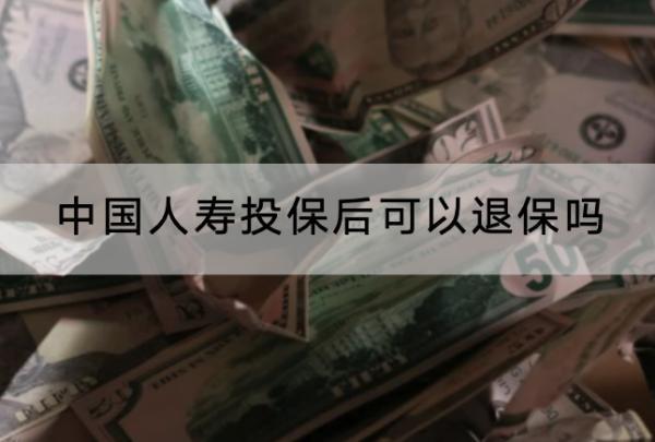 中國(guó)人壽投保后可以退保嗎