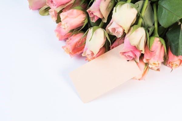 女性保險(xiǎn)投保攻略