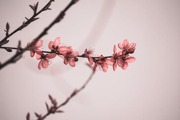 保險一年后去退保有影響嗎
