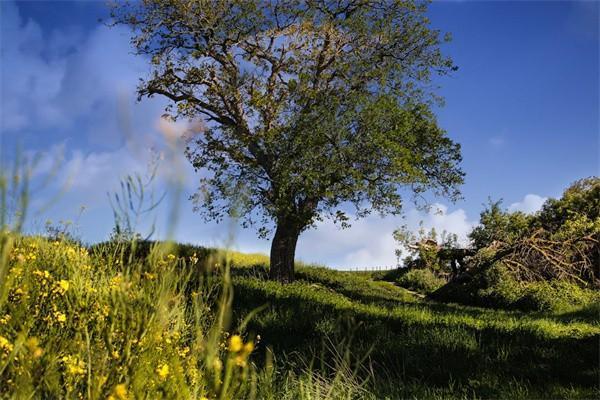 平安國內(nèi)貨物運輸保險—保險條款解讀！