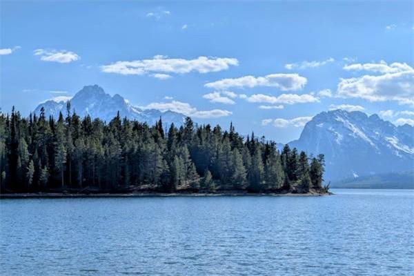 年金險退保年金能返還么？年金險如何退最劃算？