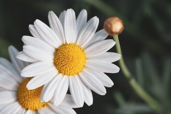 重疾險退保險能退回多少錢怎么計算？退保險前有什么要注意的？