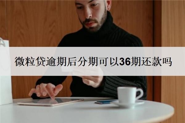 微粒貸逾期后分期可以36期還款嗎？可以申請延期還款嗎？