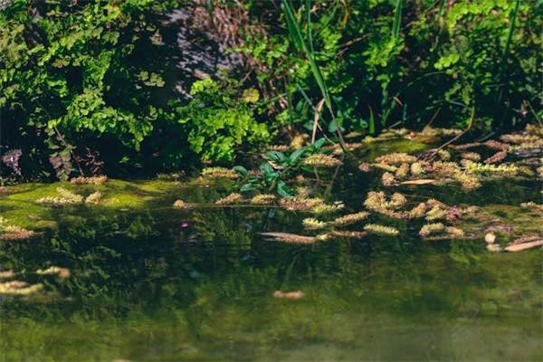 香港保險的優(yōu)勢和劣勢是什么？買香港保險的忠告？