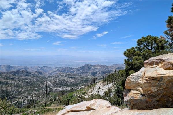 損失保險法律規(guī)定是什么？保險法損失補償派生原則有哪些？