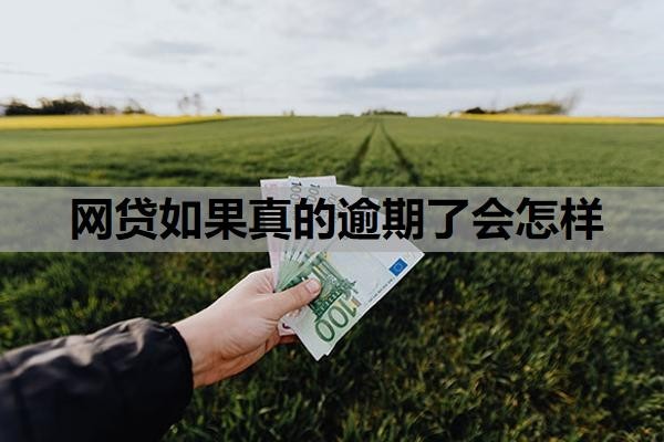 網(wǎng)貸如果真的逾期了會怎樣？網(wǎng)貸全面逾期，真沒錢還怎么辦？