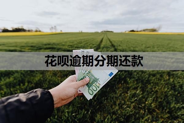 花唄逾期分期還款申請是怎樣的？逾期了怎么協(xié)商還本金？