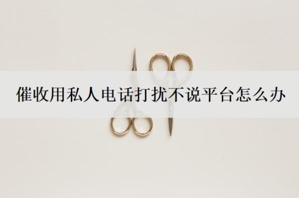 催收用私人電話打擾不說平臺怎么辦