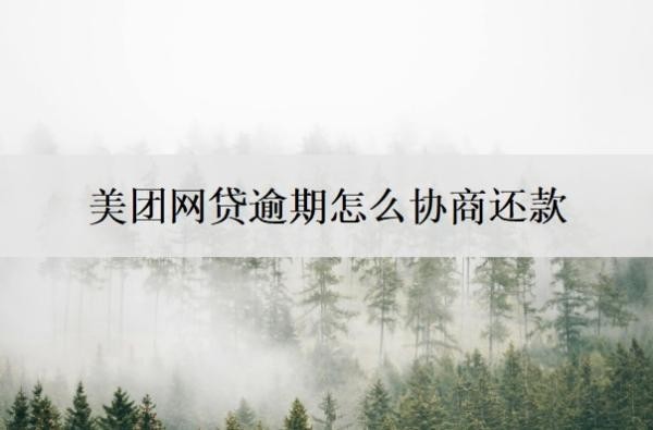 美團(tuán)網(wǎng)貸逾期怎么協(xié)商還款